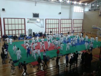 mifune judo 2