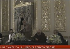 palloncini damerica